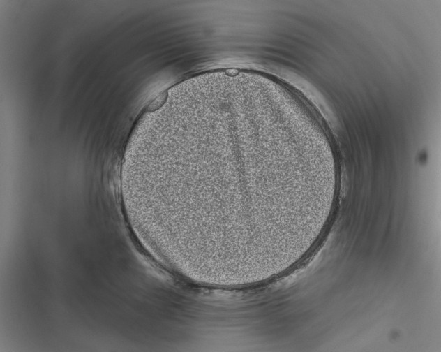 X0000116771241201001141444