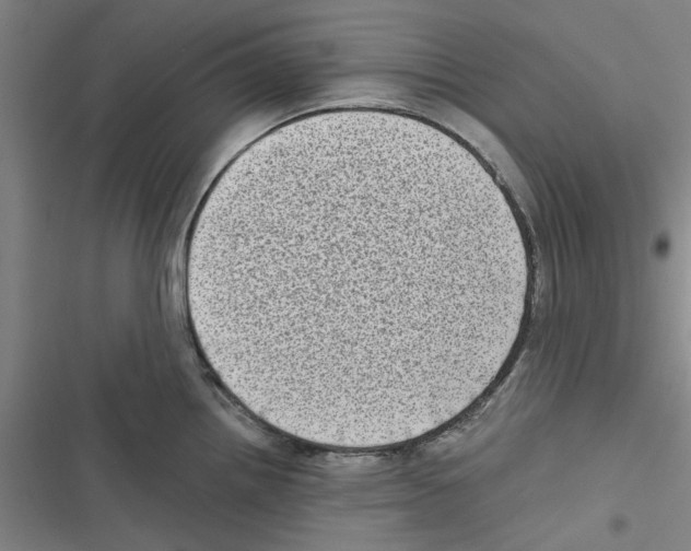 X0000116771242201001141444