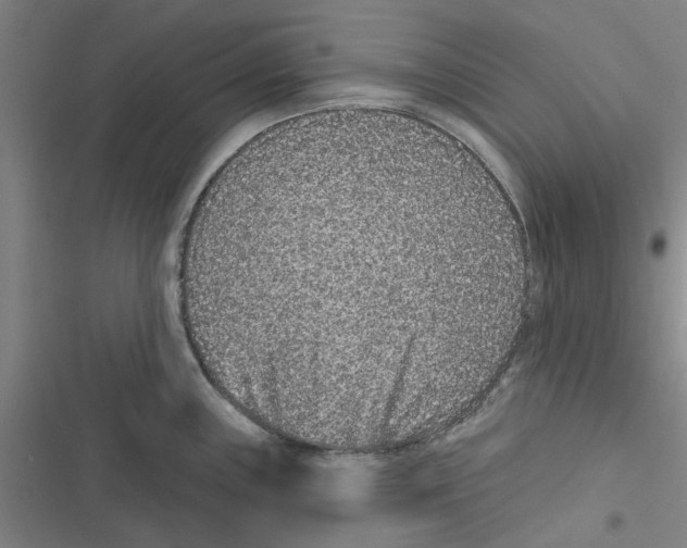 X0000116771243201001141444