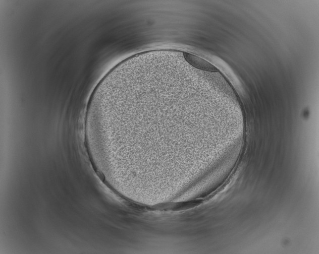X0000116771244201001141444
