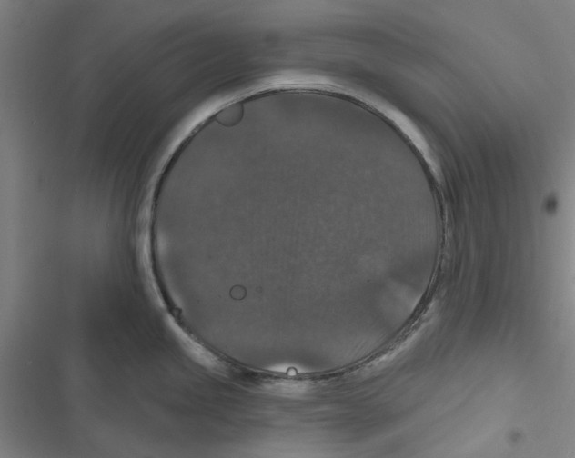 X0000116771245201001141444