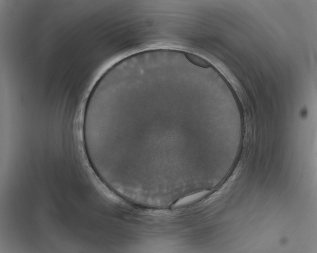 X0000116771246201001141444