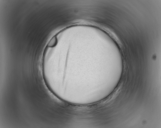 X0000116771247201001141444
