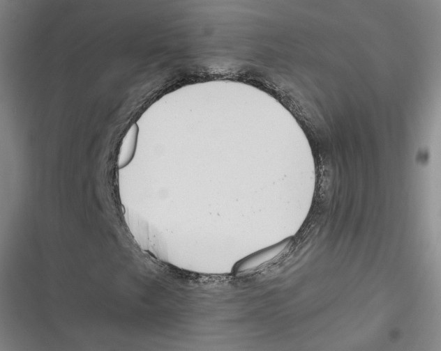 X0000116771249201001141443