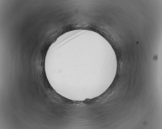 X0000116771250201001141443