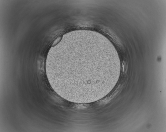 X0000116771251201001141443