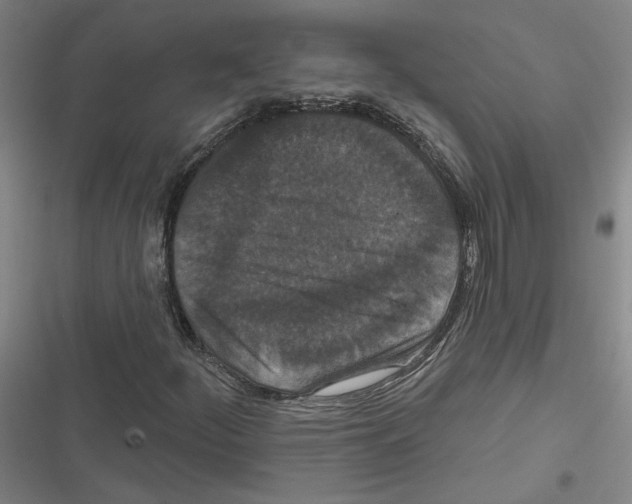 X0000116771252201001141443