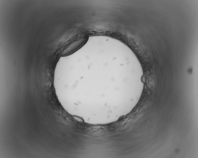 X0000116771253201001141443