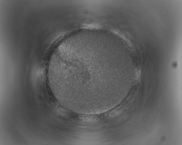X0000116771254201001141443