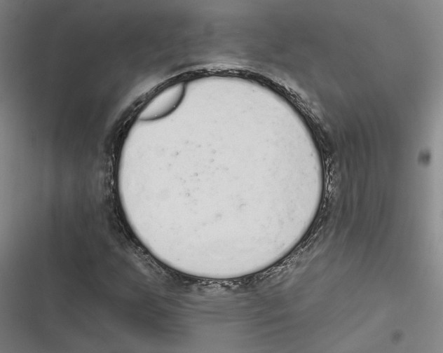 X0000116771255201001141443