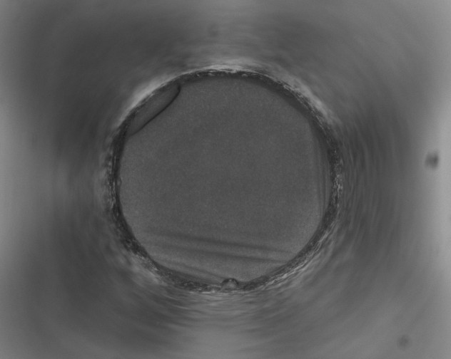 X0000116771256201001141443