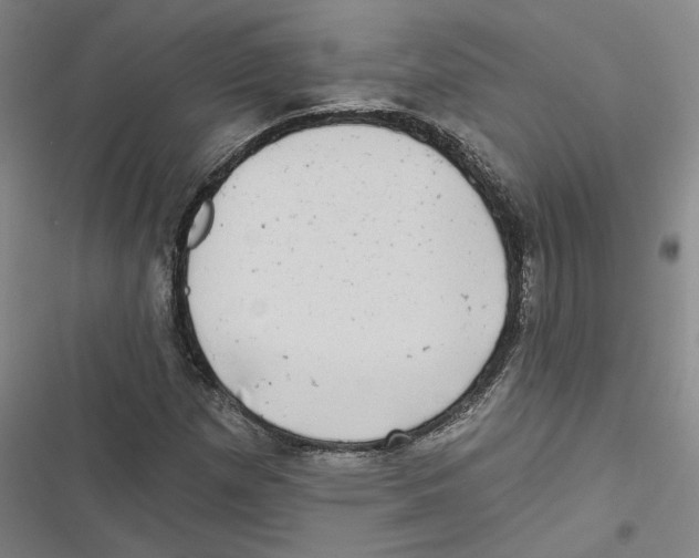 X0000116771257201001141443