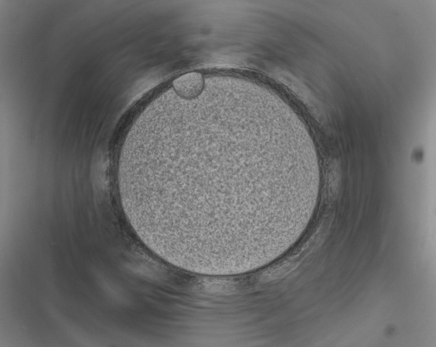 X0000116771258201001141443