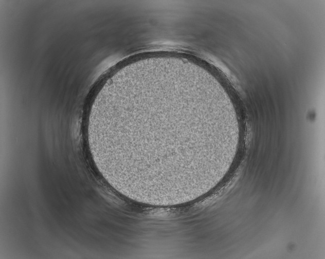X0000116771259201001141443
