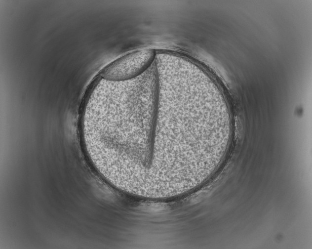 X0000116771260201001141443