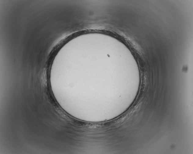 X0000116771262201001141443