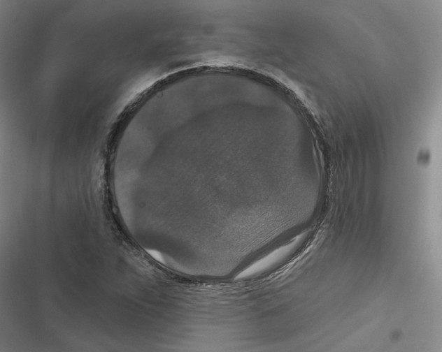 X0000116771263201001141443