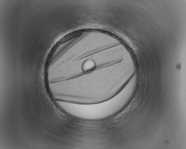 X0000116771264201001141443