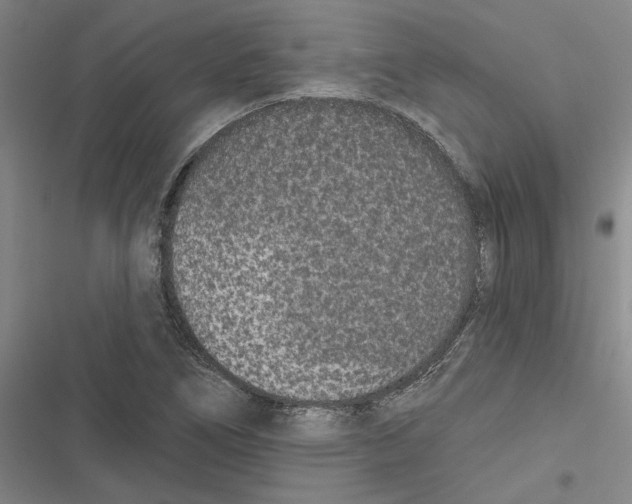 X0000116771266201001141443