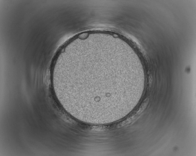 X0000116771267201001141443