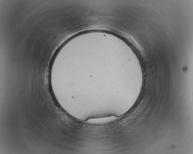 X0000116771268201001141443