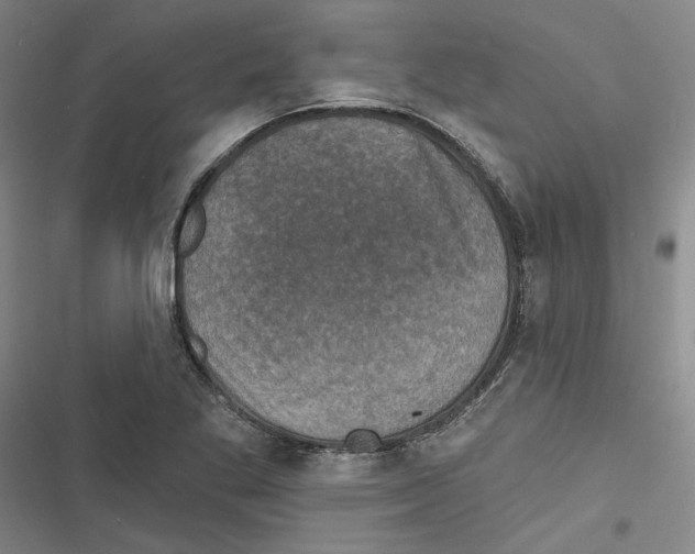 X0000116771269201001141443