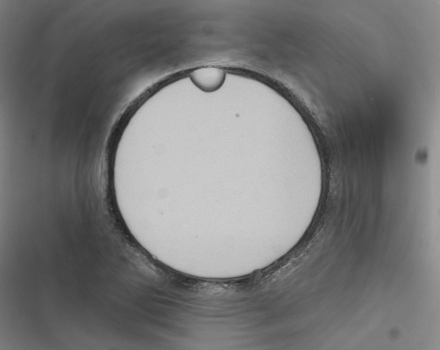 X0000116771270201001141443