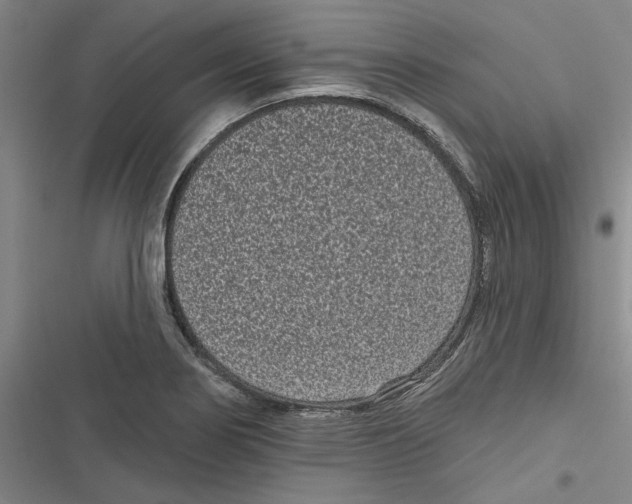 X0000116771274201001141443