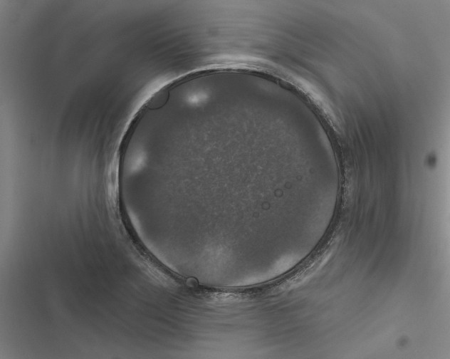 X0000116771275201001141443