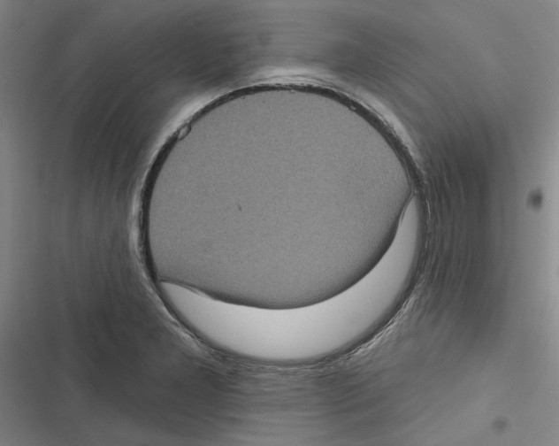 X0000116771277201001141443