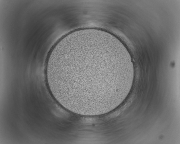 X0000116771278201001141443