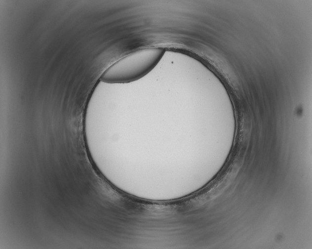 X0000116771281201001141443