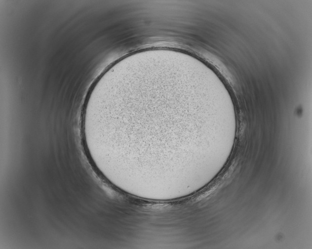 X0000116771282201001141443