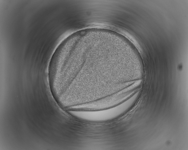 X0000116771283201001141443