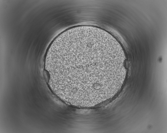 X0000116771284201001141443