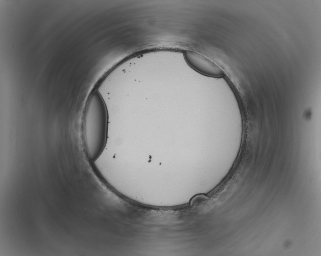 X0000116771285201001141443