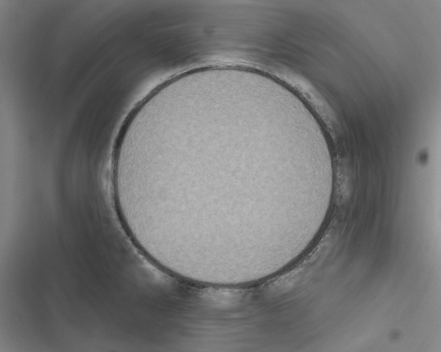 X0000116771286201001141443