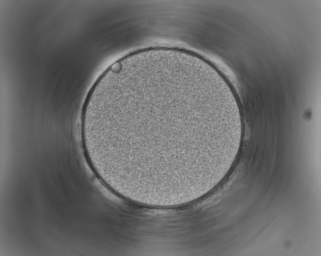 X0000116771287201001141443