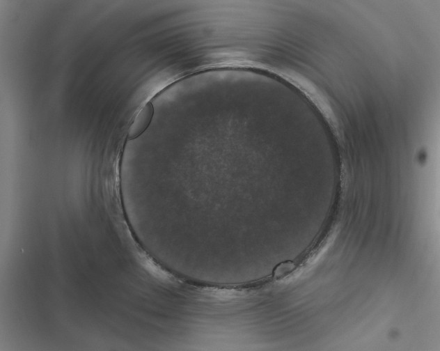 X0000116771289201001141443