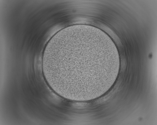 X0000116771290201001141443