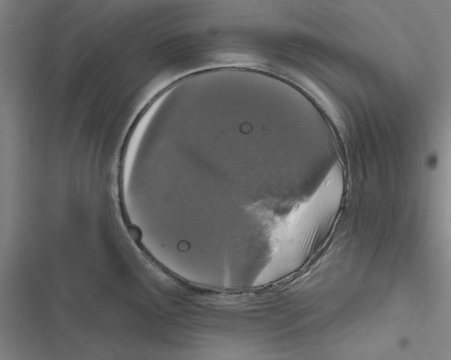 X0000116771291201001141443