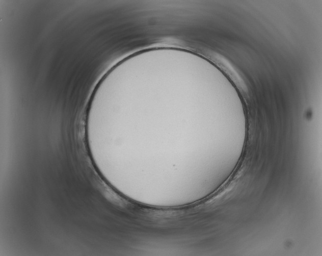 X0000116771292201001141443