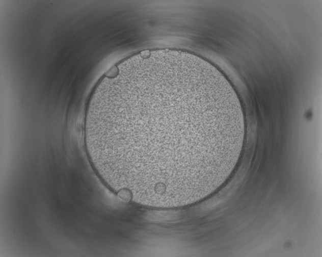 X0000116771294201001141443
