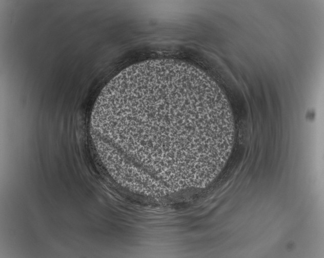 X0000116771298201001141442