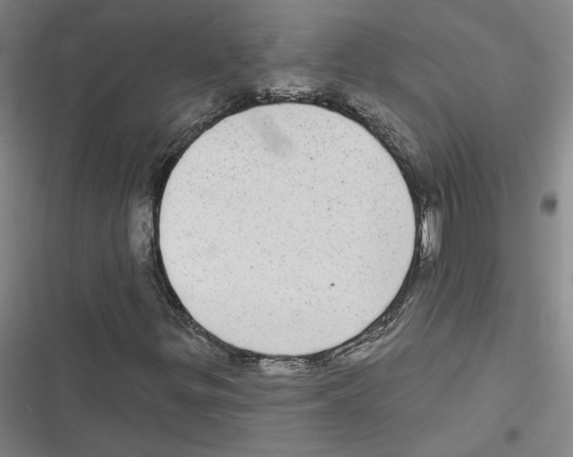 X0000116771299201001141442