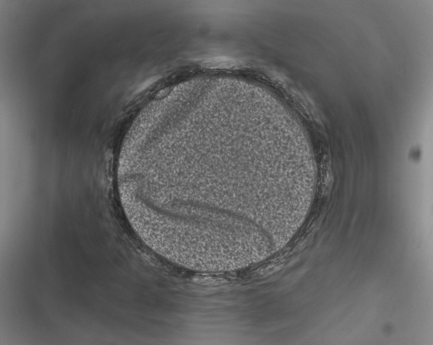 X0000116771301201001141442