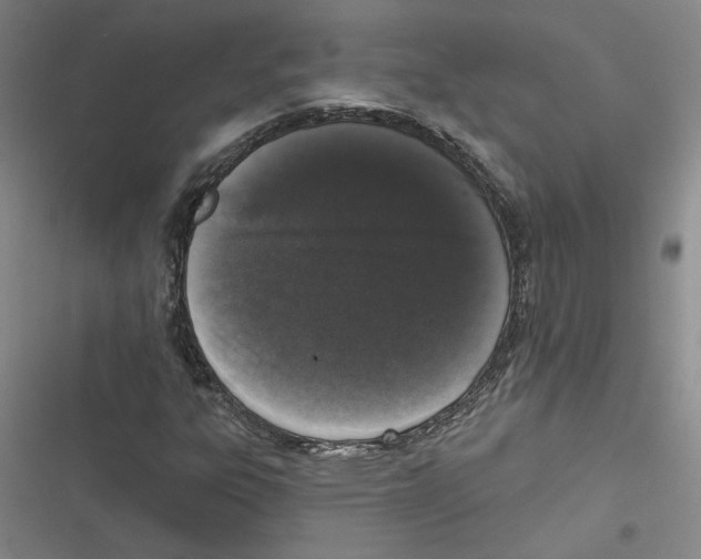 X0000116771303201001141442