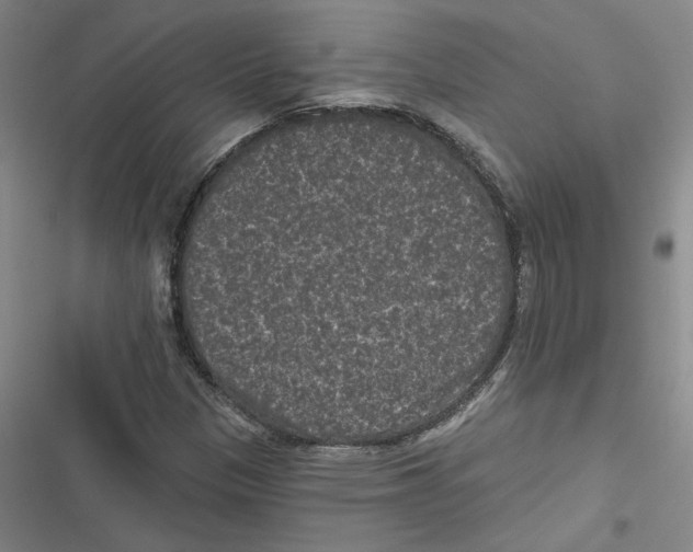 X0000116771305201001141442