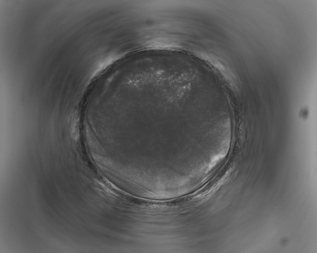 X0000116771306201001141442