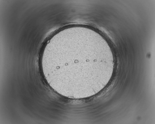 X0000116771307201001141442